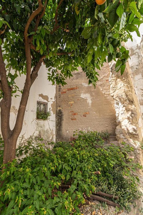 La Casa De Los Arcos - Casco Historico - Parking Opcional Херес-де-ла-Фронтера Экстерьер фото